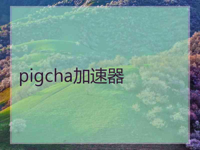 pigcha加速器